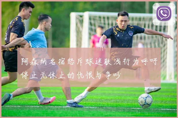 阿森纳名宿怒斥球迷肤浅行为呼吁停止无休止的仇恨与争吵